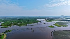 海拉尔河湿地风景-续