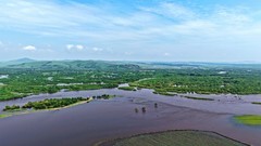 海拉尔河湿地风景-续