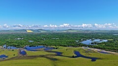 海拉尔河湿地风光-续