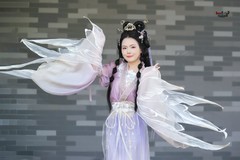 【紫蝶轻舞】---冰冰