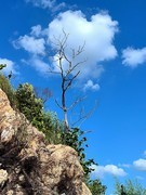 漫步星城 （867）让思绪飘向无尽远方