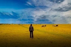 那拉提草原风景 14