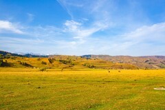 那拉提草原风景 14