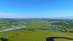 海拉尔河湿地风光-2