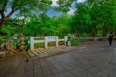 昆明翠湖风景 9