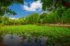 昆明翠湖风景 9