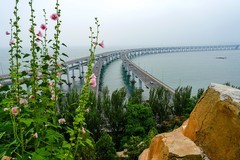 2026年第0453贴 -大连海滨旅拍（0706）