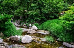 泰山彩石溪（三）