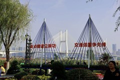 武汉江滩菊花展五