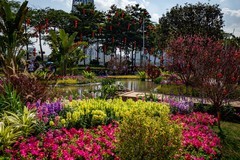 园博会随拍（8）