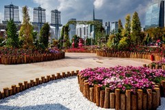 园博会随拍（8）