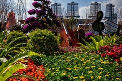 园博会随拍（8）