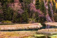 外出随拍（768）.