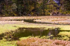 外出随拍（768）.