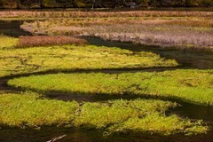 外出随拍（768）.