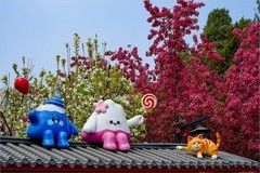 2026年第0244贴 - 陶然亭公园春花灿烂（0413）