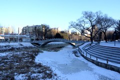 冬日——双龙公园（4）