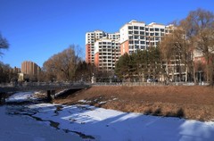 冬日——双龙公园（4）