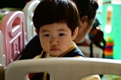 Z5加FTZ2代转接环接28-300（没开防抖）效果