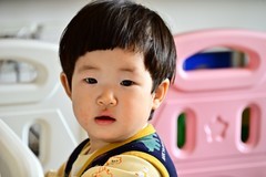 Z5加FTZ2代转接环接28-300（没开防抖）效果