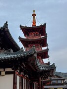 2026年-无锡之行人文纪实拍-0235