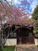 2026年-无锡之行人文纪实拍-0235