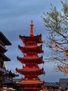 2026年-无锡之行人文纪实拍-0237