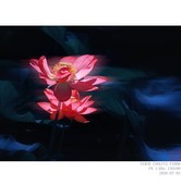 260703荷花