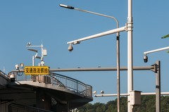 练手