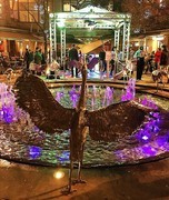 1513【2015中国优导张松摄影集】《异国风情》澳大利亚、新西兰游记！  (27)水幕秀！