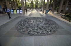 杭州西湖柳浪闻莺公园