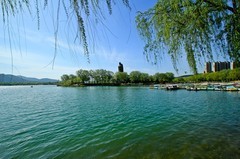 济南——春色园博园 （二）