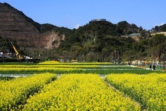 温州园博园西园 (7)