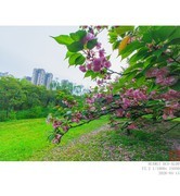 手机超广的张力