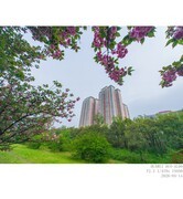 手机超广的张力