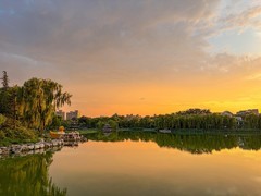 2026年- 陶然亭风光纪实拍-0469