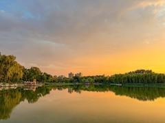 2026年- 陶然亭风光纪实拍-0469