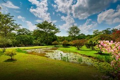 西双版纳风景 17
