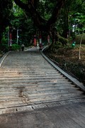 行走云道随拍-上