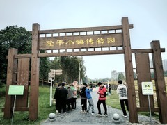 漫步星城 （921）隆平水稻文化园