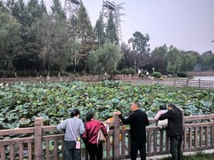 漫步星城 （922）长沙隆平小镇