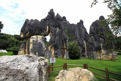 云南石林（二）