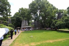 云南石林（二）