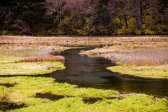 外出随拍（781）.