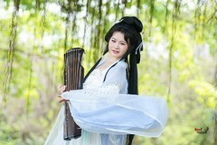 【春日林中仙影】---欧阳