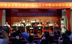 乐奏与演唱