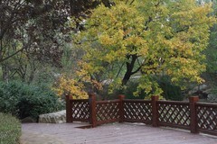 滨城游拍——小区秋色