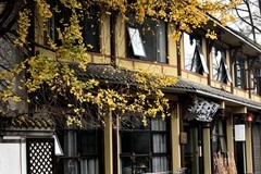 初冬的街子古镇【1】