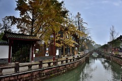 初冬的街子古镇【1】