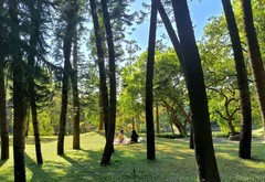 冬日树林。。。。。。